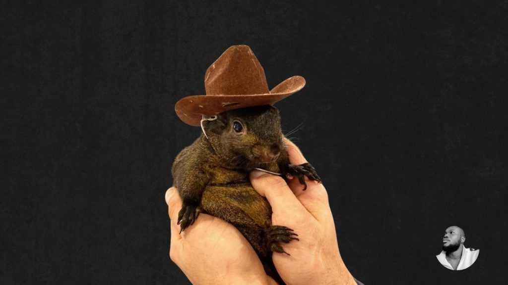 About Peanut the Squirrel (PNUT) Memecoin: Everything You Need to Know 2 About Peanut the Squirrel PNUT Memecoin Everything You Need to Know Princewill.io 1 — Princewill Pius